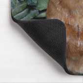 Cattle Dog Muismat (Hoek)