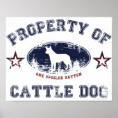 Cattle Dog Poster (Voorkant)