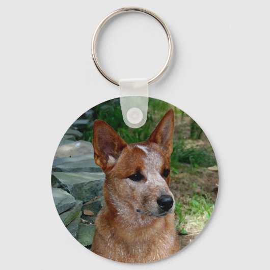 Cattle Dog Sleutelhanger (Voorkant)