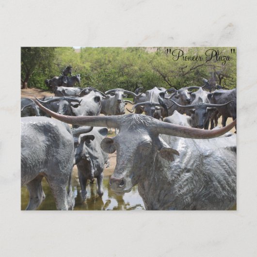 Cattle Drive # 12 Briefkaart (Voorkant)