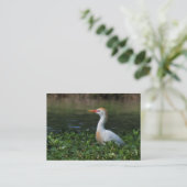 Cattle Egret ATC-fotokaart Visitekaartje (Staand voorkant)