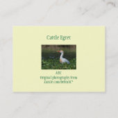 Cattle Egret ATC-fotokaart Visitekaartje (Achterkant)