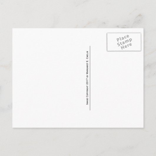 Cattle Grate Across Gravel Road. Wyoming, Western Briefkaart (Achterkant)