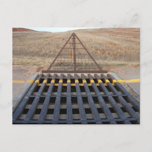 Cattle Grate Across Gravel Road. Wyoming, Western Briefkaart (Voorkant)