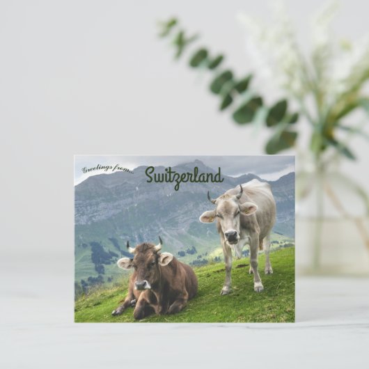 Cattle in Switzerland Briefkaart (Staand voorkant)