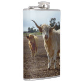 Cattle on the Loose: Highland Koeien Tarwe Heist Heupfles (Rechts)