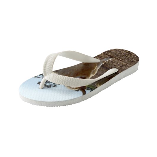 Cattle on the Loose: Highland Koeien Tarwe Heist Kinder Teenslippers (Schuin)