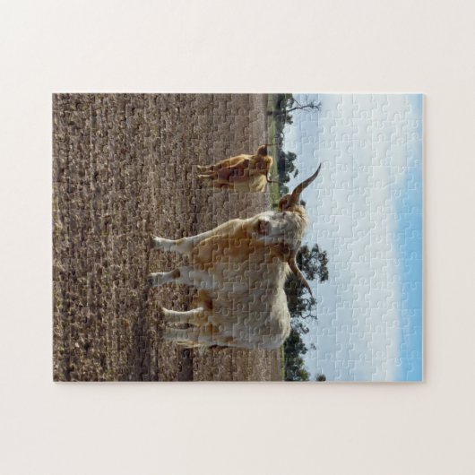 Cattle on the Loose: Highland Koeien Tarwe Heist Legpuzzel (Horizontaal)