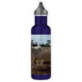 Cattle on the Loose: Highland Koeien Tarwe Heist Waterfles (Rechts)