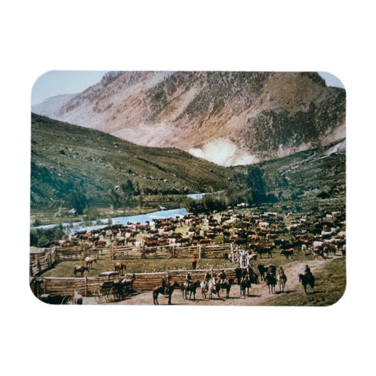 Cattle Ranch, Colorado, 1899 (foto) Magneet (Horizontaal)