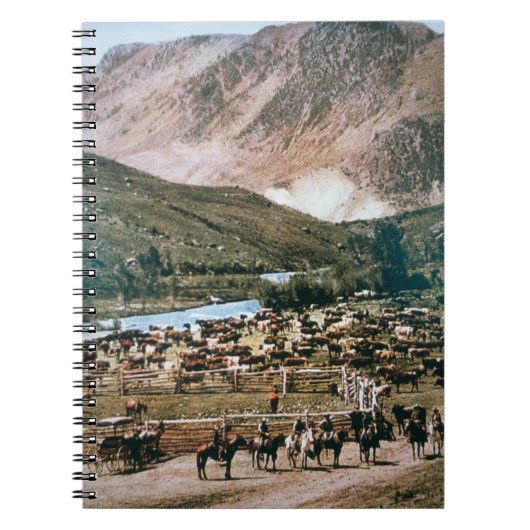 Cattle Ranch, Colorado, 1899 (foto) Notitieboek (Voorkant)