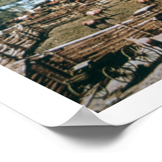 Cattle Ranch, Colorado, 1899 (foto) Poster (Hoek)