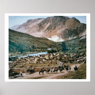 Cattle Ranch, Colorado, 1899 (foto) Poster