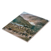 Cattle Ranch, Colorado, 1899 (foto) Tegeltje (Zijkant)