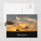 Cattle Sunset Silhouette Briefkaart (Voorkant / Achterkant)