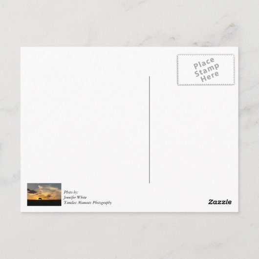 Cattle Sunset Silhouette Briefkaart (Achterkant)
