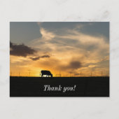 Cattle Sunset Silhouette Briefkaart (Voorkant)