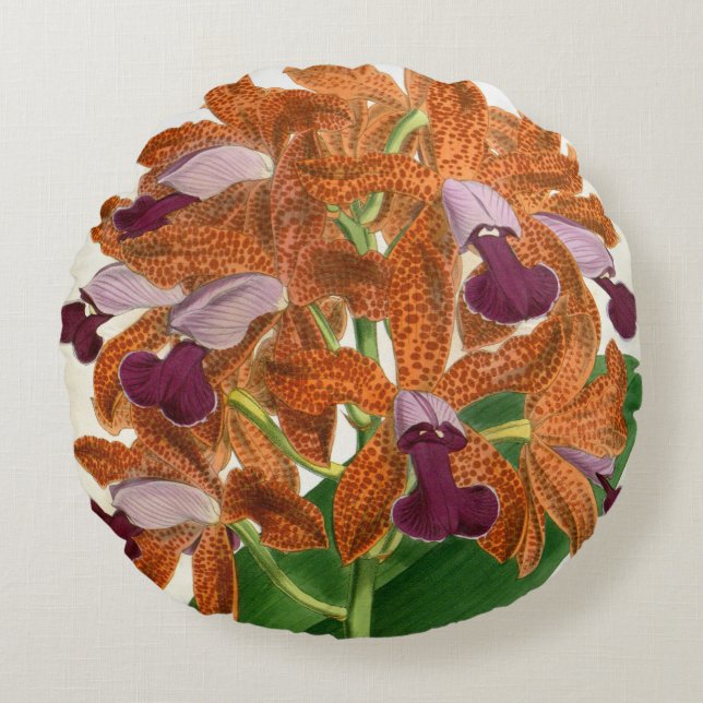 Cattleya Guttata Leopoldii  Lindenia Orchid Rond Kussen (Voorkant)