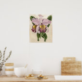 Cattleya Hardyana Orchidee Poster (Keuken)