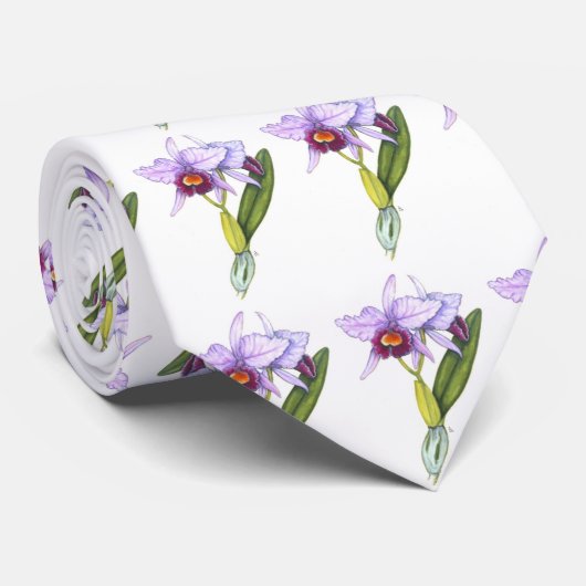 Cattleya labiata stropdas (Opgerold)