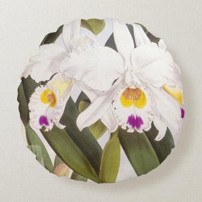 Cattleya Morgane  Lindenia Orchid Rond Kussen (Voorkant)