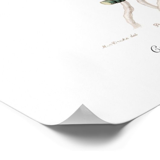 Cattleya mossiae poster (Hoek)