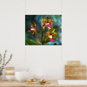 Cattleya Orchid Art Print -24x20 - andere formaten (Keuken)