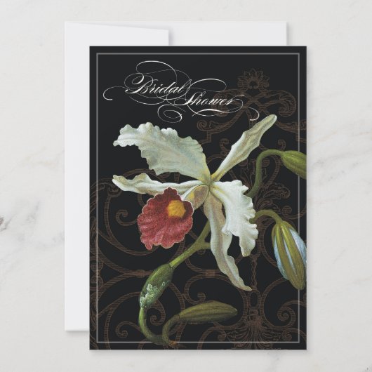 Cattleya Orchid Black Cream - Vrijgezellenfeest Ui Kaart (Achterkant)