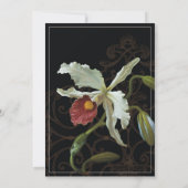 Cattleya Orchid Black Cream - Weddenschap Kaart (Achterkant)