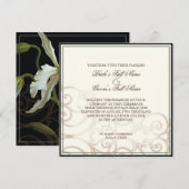 Cattleya Orchid Black Cream - Weddenschap Kaart (Voorkant / Achterkant)