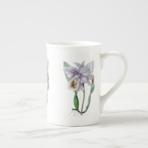 Cattleya Orchid Botanical Bone China Mok