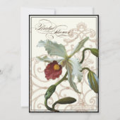 Cattleya Orchid Cream Zwart - Bloemen Vrijgezellen Kaart (Achterkant)