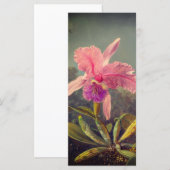 Cattleya Orchid en drie kolibries hoofd Kaart (Voorkant / Achterkant)