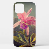 Cattleya Orchid en drie kolibries kop Case-Mate iPhone Case (Achterkant)