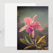 Cattleya Orchid en drie kolibries kop Kaart (Voorkant / Achterkant)