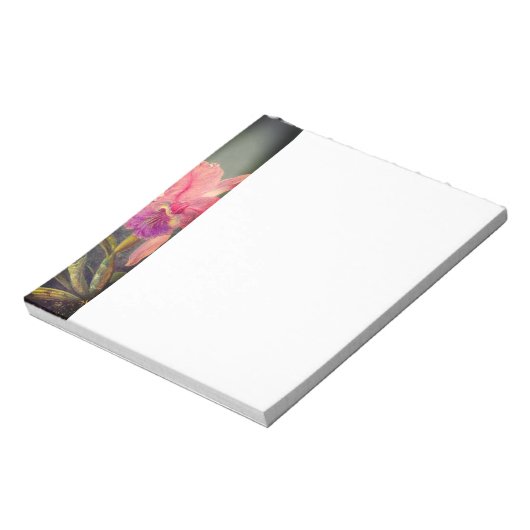 Cattleya Orchid en drie kolibries kop Notitieblok (Linkerzijde)