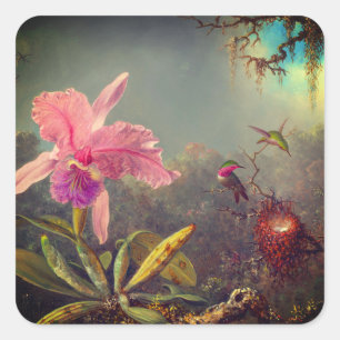 Cattleya Orchid en drie kolibries kop Vierkante Sticker