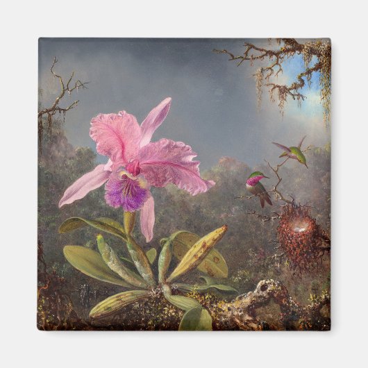 Cattleya Orchid en drie kolibries op kop Magneet (Voorkant)