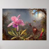 Cattleya Orchid en drie kolibries op kop Poster (Voorkant)