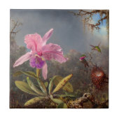 Cattleya Orchid en drie kolibries op kop Tegeltje (Voorkant)