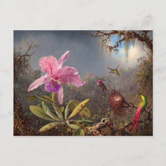 Cattleya Orchid en drie kolibries op kop Uitnodiging Briefkaart (Voorkant)