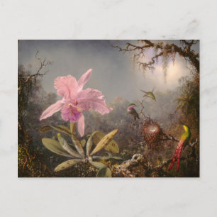 Cattleya Orchid en Three Hummingbird Briefkaart