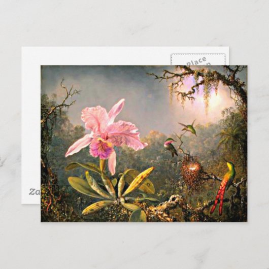 Cattleya Orchid en Three Hummingbird Briefkaart (Voorkant / Achterkant)