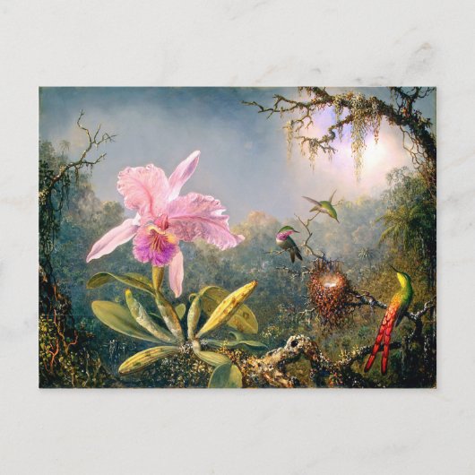 Cattleya Orchid en Three Hummingbird Briefkaart (Voorkant)