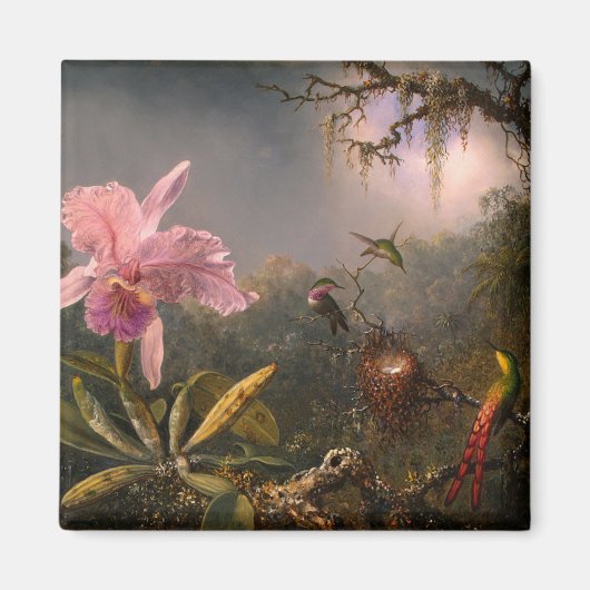 Cattleya Orchid en Three Hummingbird (Heade) Magneet (Voorkant)