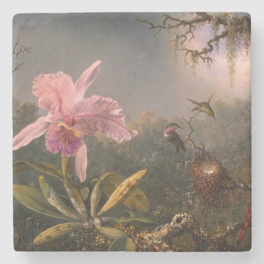 Cattleya Orchid en Three Hummingbird (Heade) Stenen Onderzetter (Voorkant)