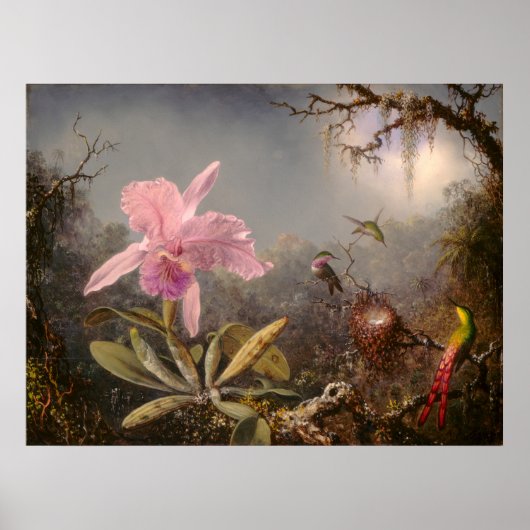 Cattleya Orchid en Three Hummingbird Poster (Voorkant)