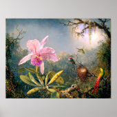 Cattleya Orchid en Three Hummingbird Poster (Voorkant)