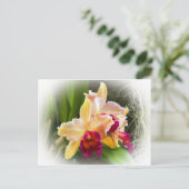 Cattleya Orchid Flower Briefkaart (Staand voorkant)