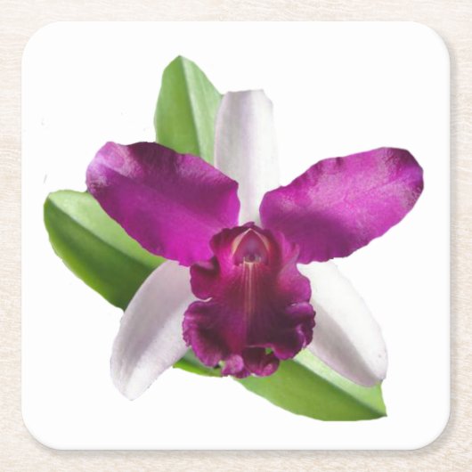 Cattleya Orchid Flower Kartonnen Onderzetters (Voorkant)